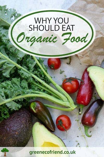 Why You Should Eat Organic Food - Green Eco Friend